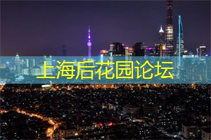 上海养生网：华丽夜上海：夜幕下的时尚购物之旅！